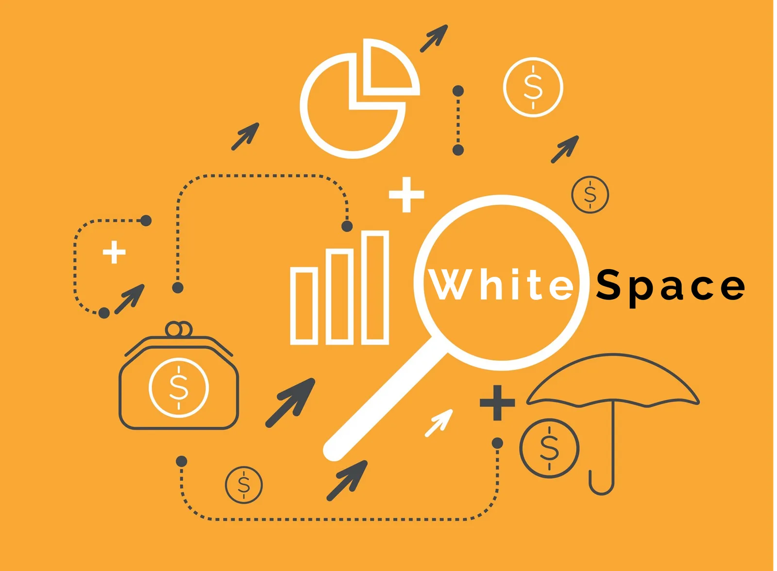 White Space business growth series